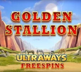 Golden Stallion